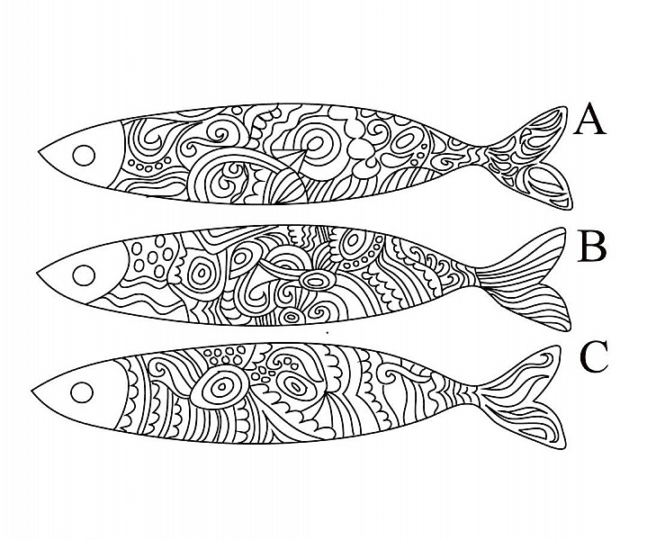 Trois poissons décorés de motifs abstraits pour coloriage.