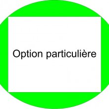 Option, die einer Bestellung für eine bestimmte Option oder Dienstleistung hinzugefügt wird