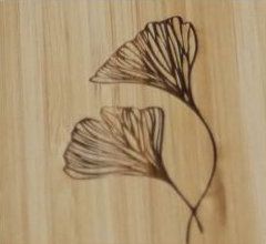 Muster 5 (Blumen)